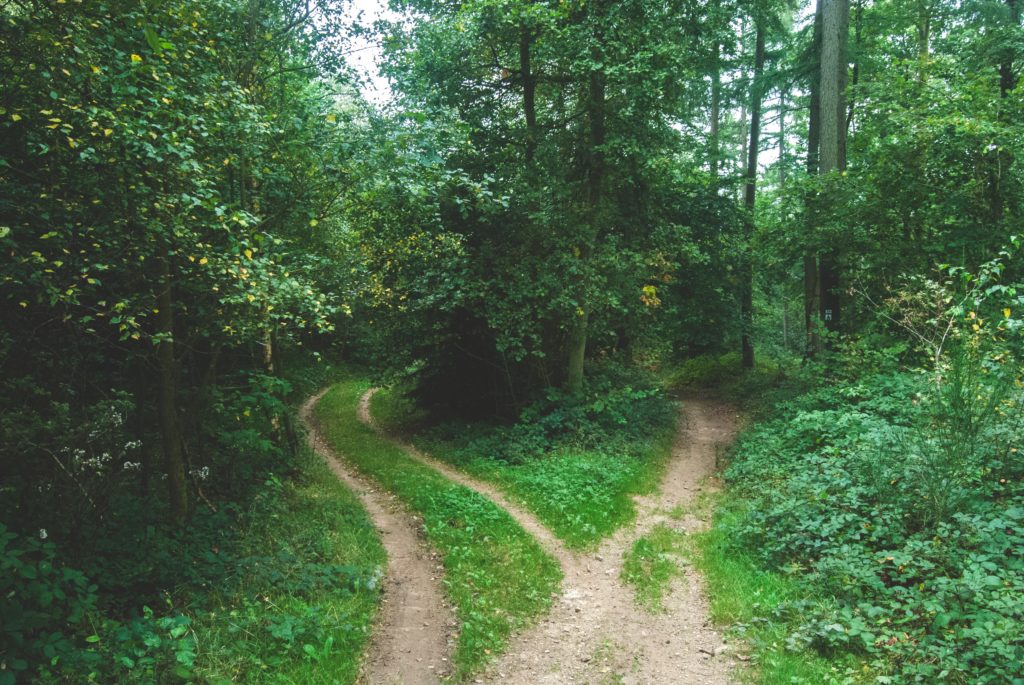 Desire Map workshops and courses provide a path