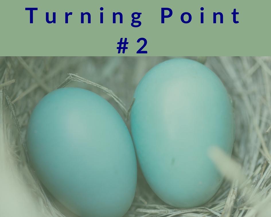 Turning point2 Turning point2
