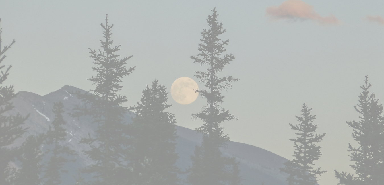 moon moon